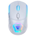 Mouse Gamer